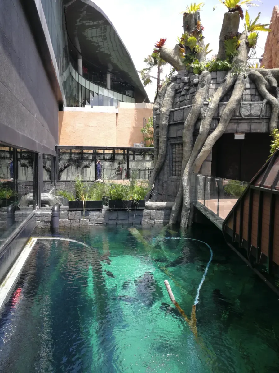 Aquaria Phuket อควาเรีย ภูเก็ต พิพิธภัณฑ์สัตว์น้ำใหญ่ที่สุดในไทย ใจกลางภูเก็ต เหมาะสำหรับเด็ก และครอบครัว