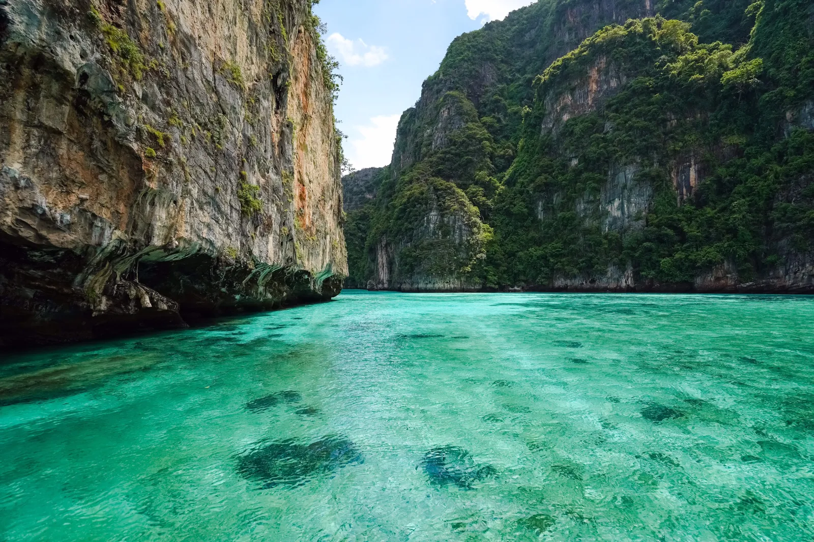 หมู่เกาะพีพี อ่าวมาหยา รีวิวทะเลสวยระดับโลก น้ำใส หาดขาว ภูเก็ต