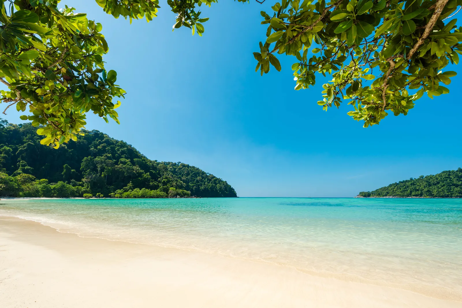 เกาะสิมิลัน รีวิว ทะเลสวยอันดับโลก น้ำใส ดำน้ำระดับโลก