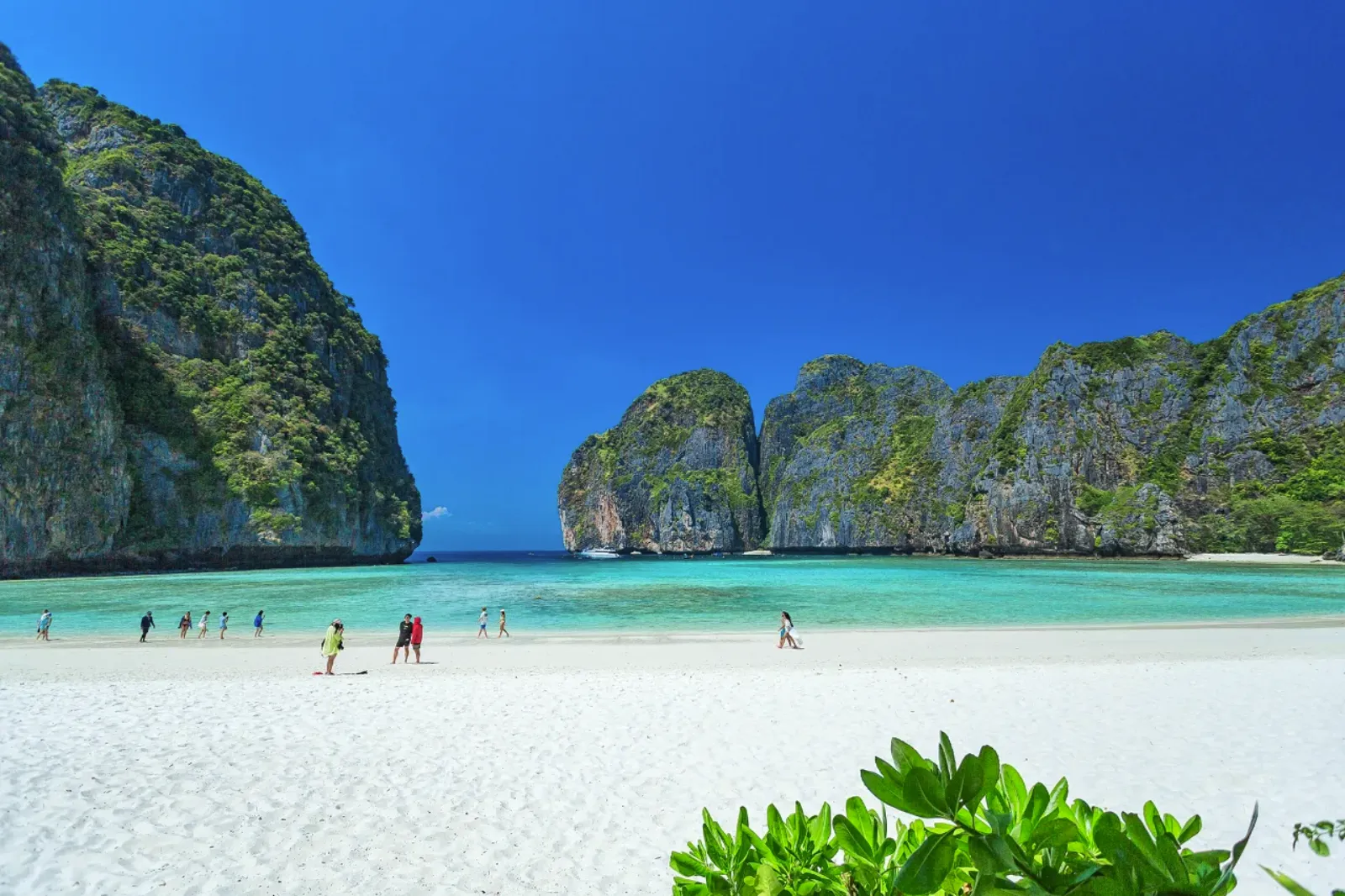 อ่าวมาหยา เกาะพีพี รีวิวทะเลสวยระดับโลก น้ำใส หาดขาว ภูเก็ต